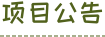 项目公告